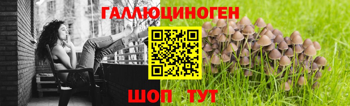 Улан-Удэ  Галлюциногенные грибы Cubensis  Вход с VPN 